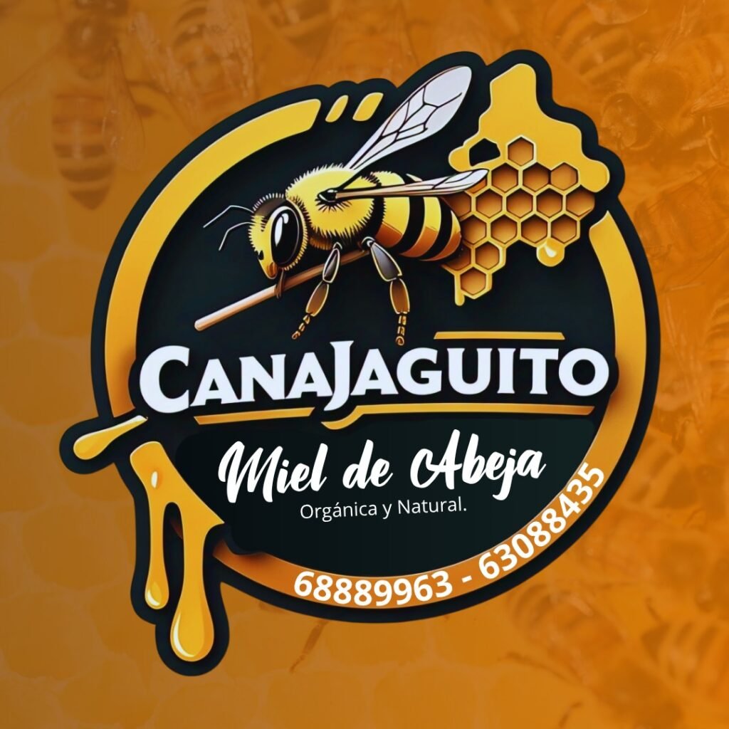 WhatsApp Image 2025-06-05 at 5.51.23 PM